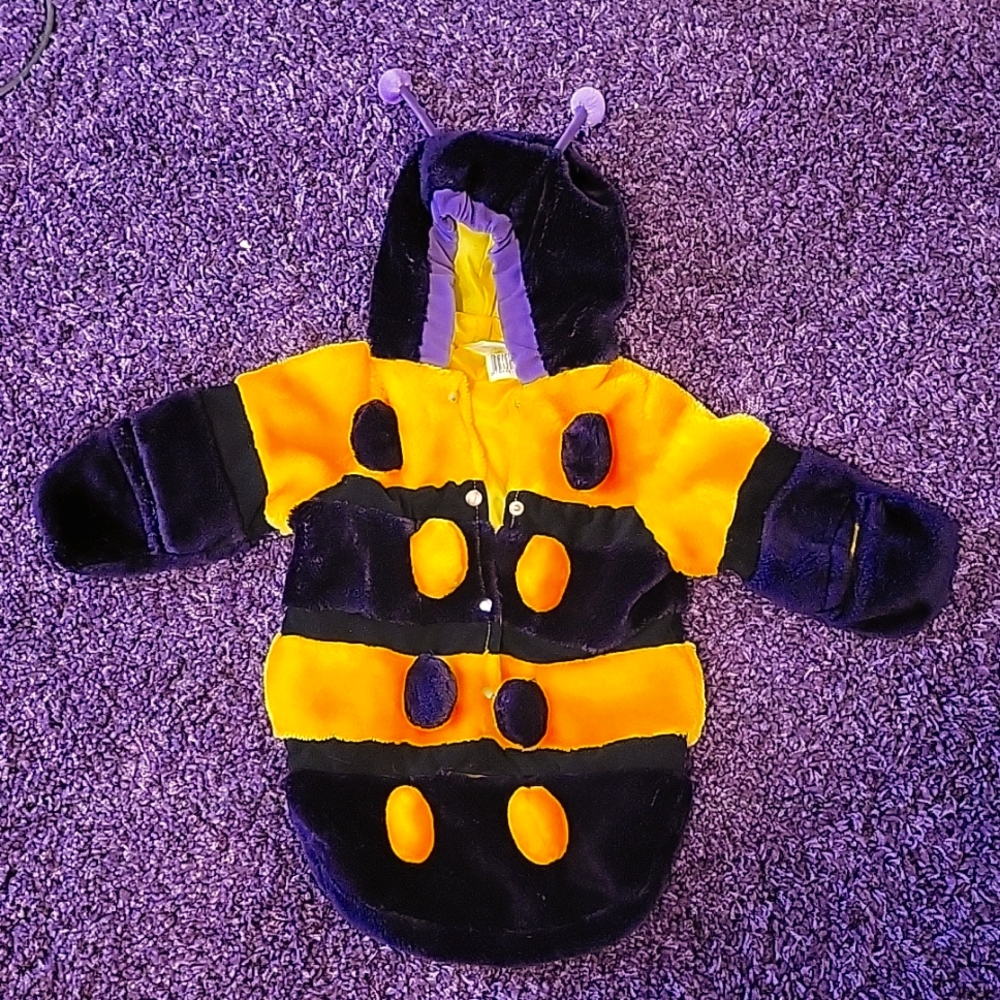 Baby Caterpillar Costume